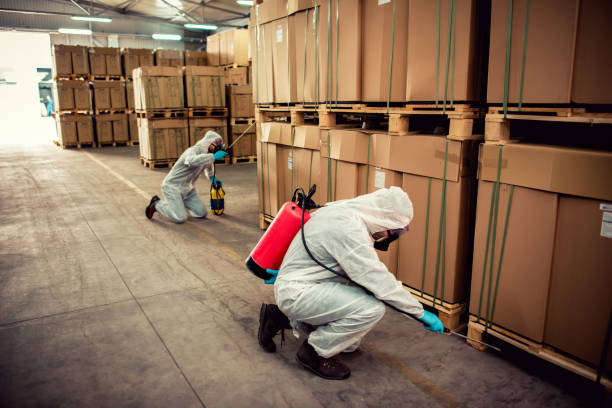 Best Termite Control Services  in West Milton, PA