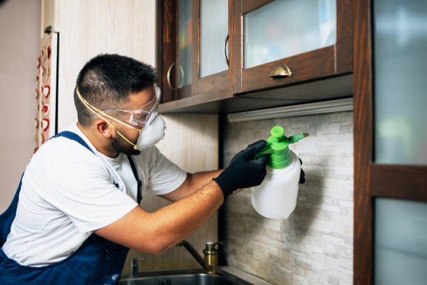 Best Residential Pest Control  in West Milton, PA