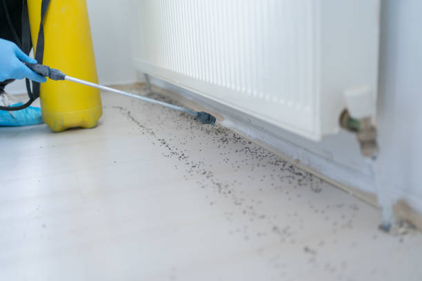Best Best Pest Control Companies  in West Milton, PA