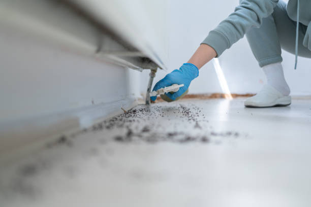 Best Termite Control Services  in West Milton, PA